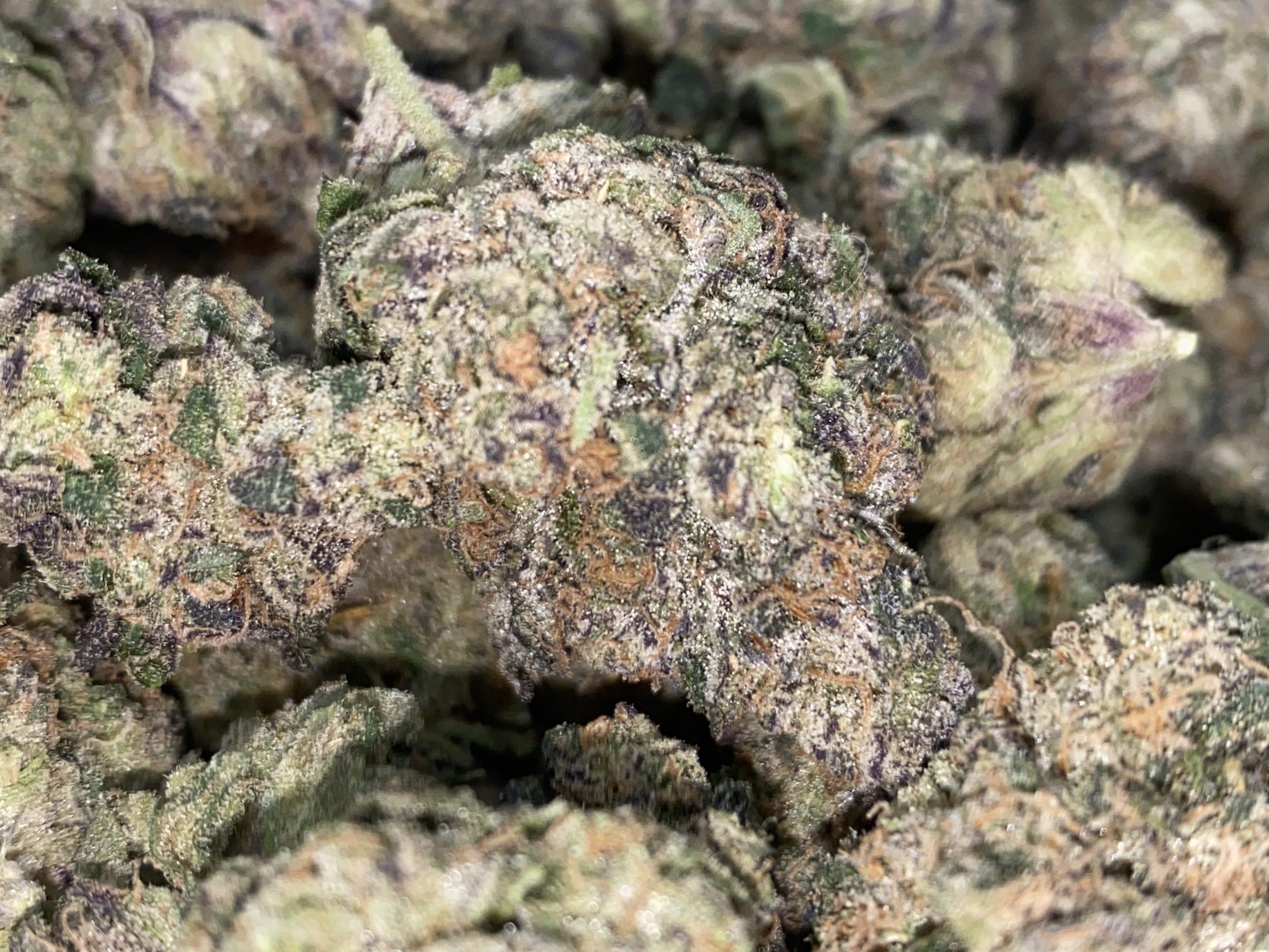 Sudz (AAAA) - Image 2