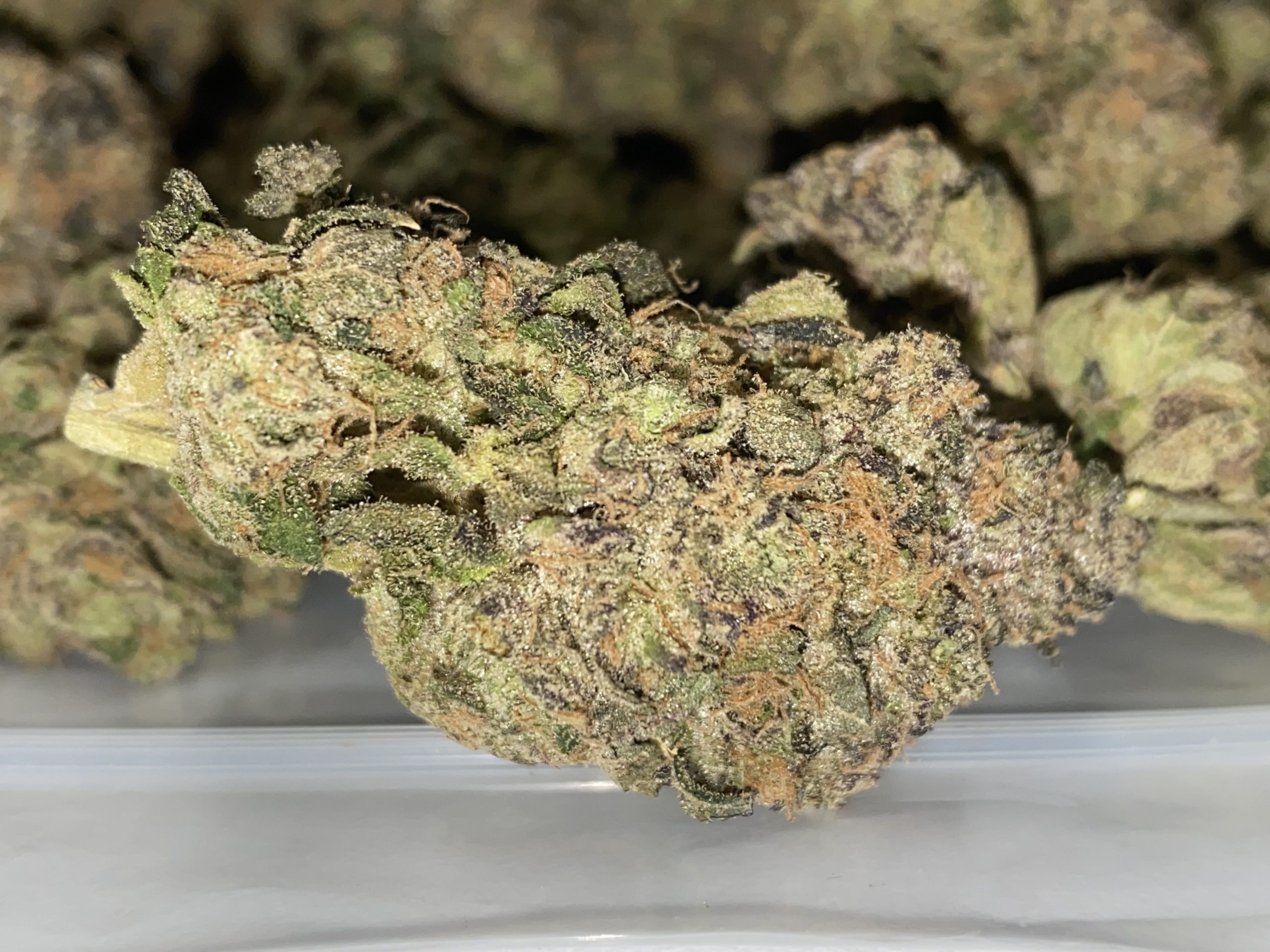 Sudz (AAAA) - Image 3