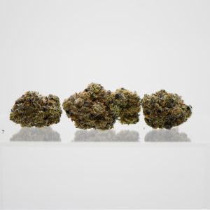 Jet Tsunami (AAAA)