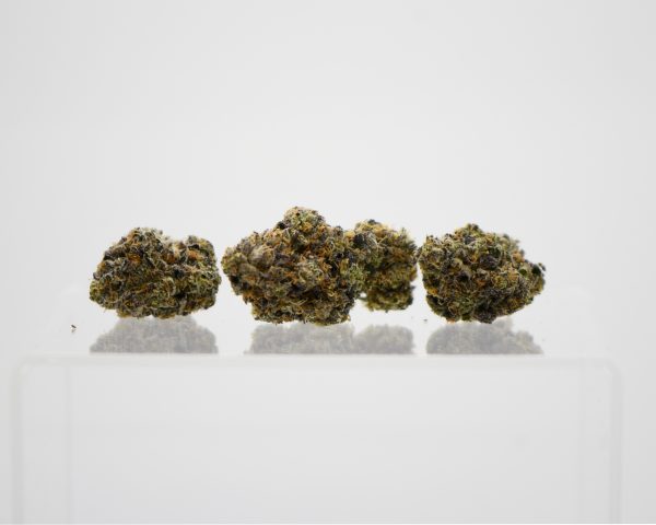Jet Tsunami (AAAA)