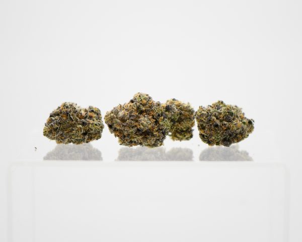 Jet Tsunami (AAAA) - Image 2