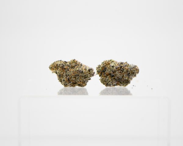 Space Panda (AAAA) - Image 3