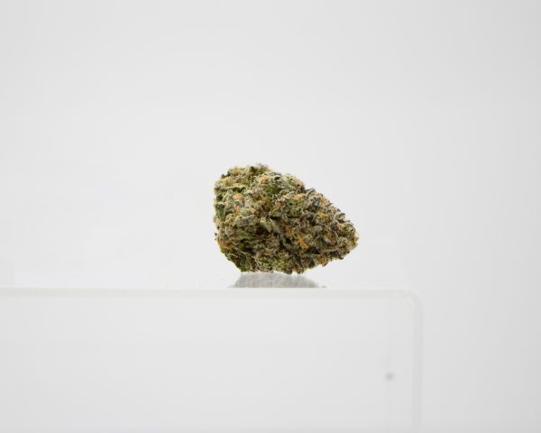 Purple Icculus - Image 3