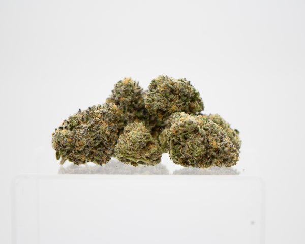 Purple Icculus - Image 2