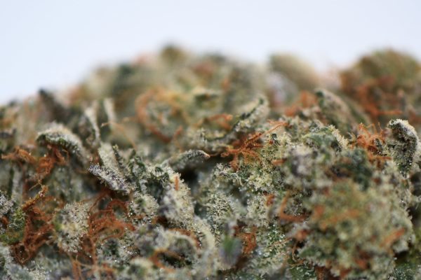 Frosted Fruitcake (AAAA) - Image 2