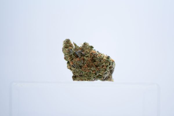 Funkified (AAAA) - Image 3