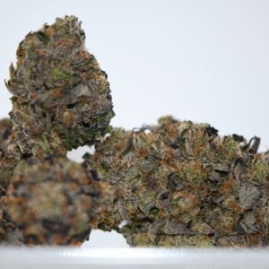 Hindu Kush (AAAA)