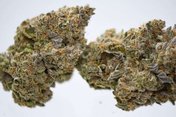 Cherry Gelato (AAAA)
