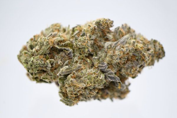 Cherry Gelato (AAAA) - Image 2