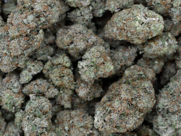 Lemon Grape Bubba Temple (AAAA) Promo - Image 4