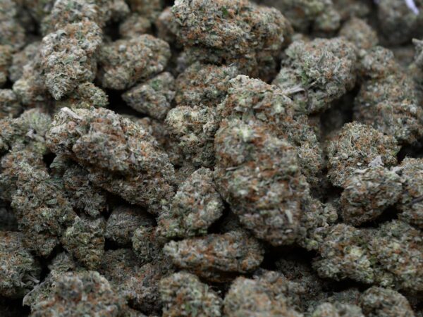 Lemon Grape Bubba Temple (AAAA) Promo - Image 5