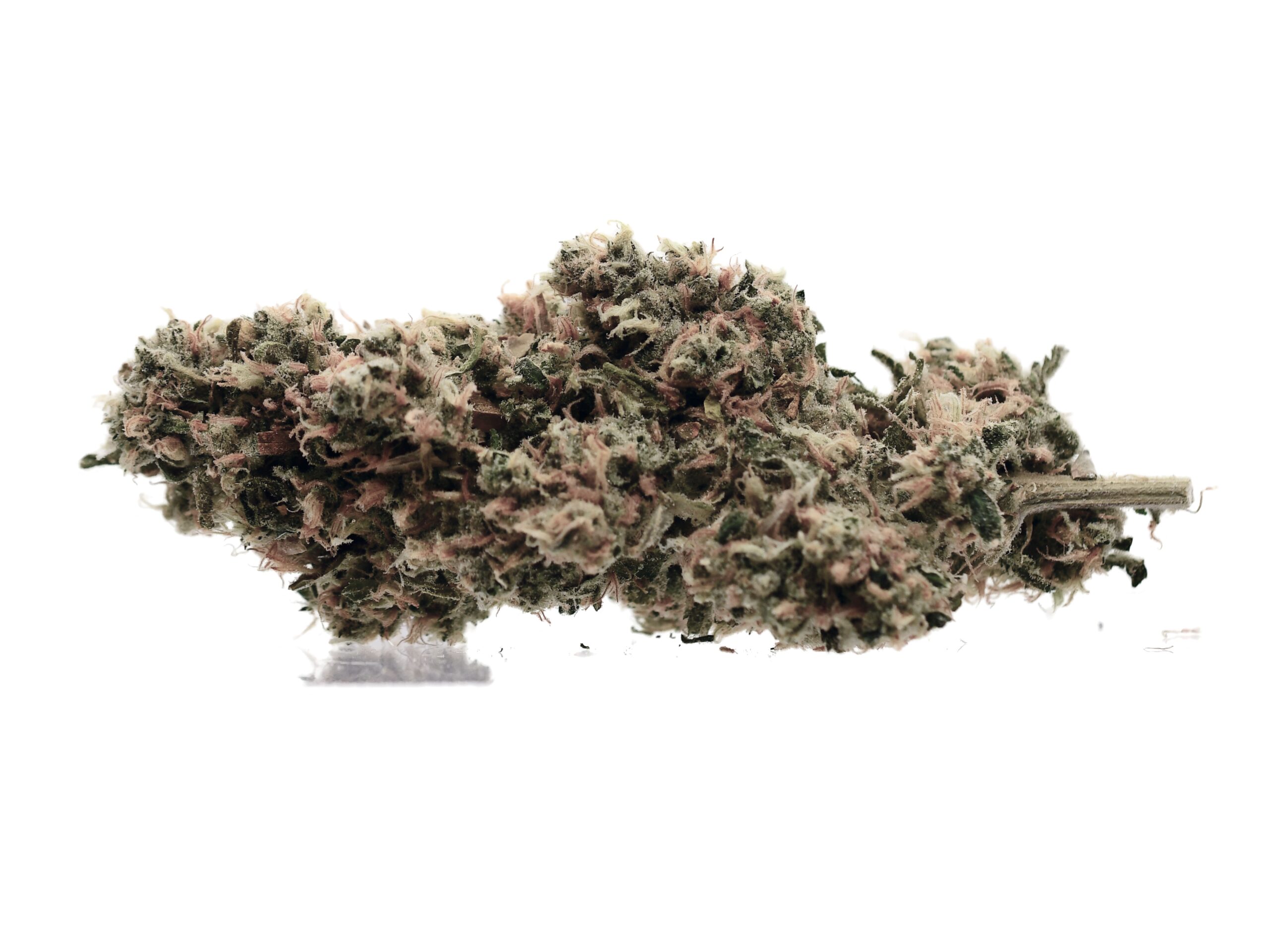 Apple Sherbet (Sativa)(AAAA)