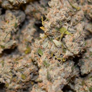 AAAA Sunset Sherbert Smalls