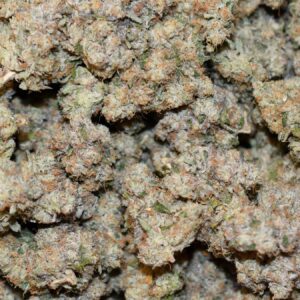 AAAA Gelato Smalls