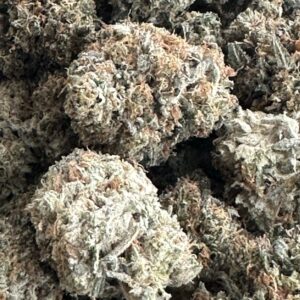 Malahat Gas (AAAA) Promo