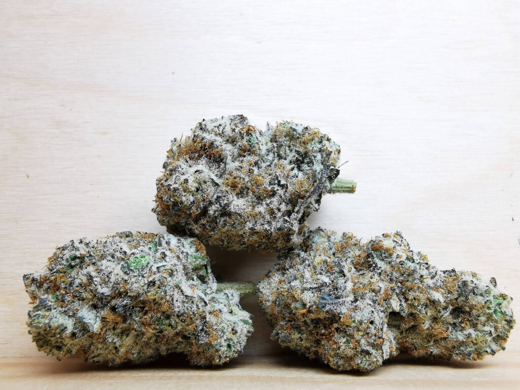 AAAA+ Gorilla Mango OG
