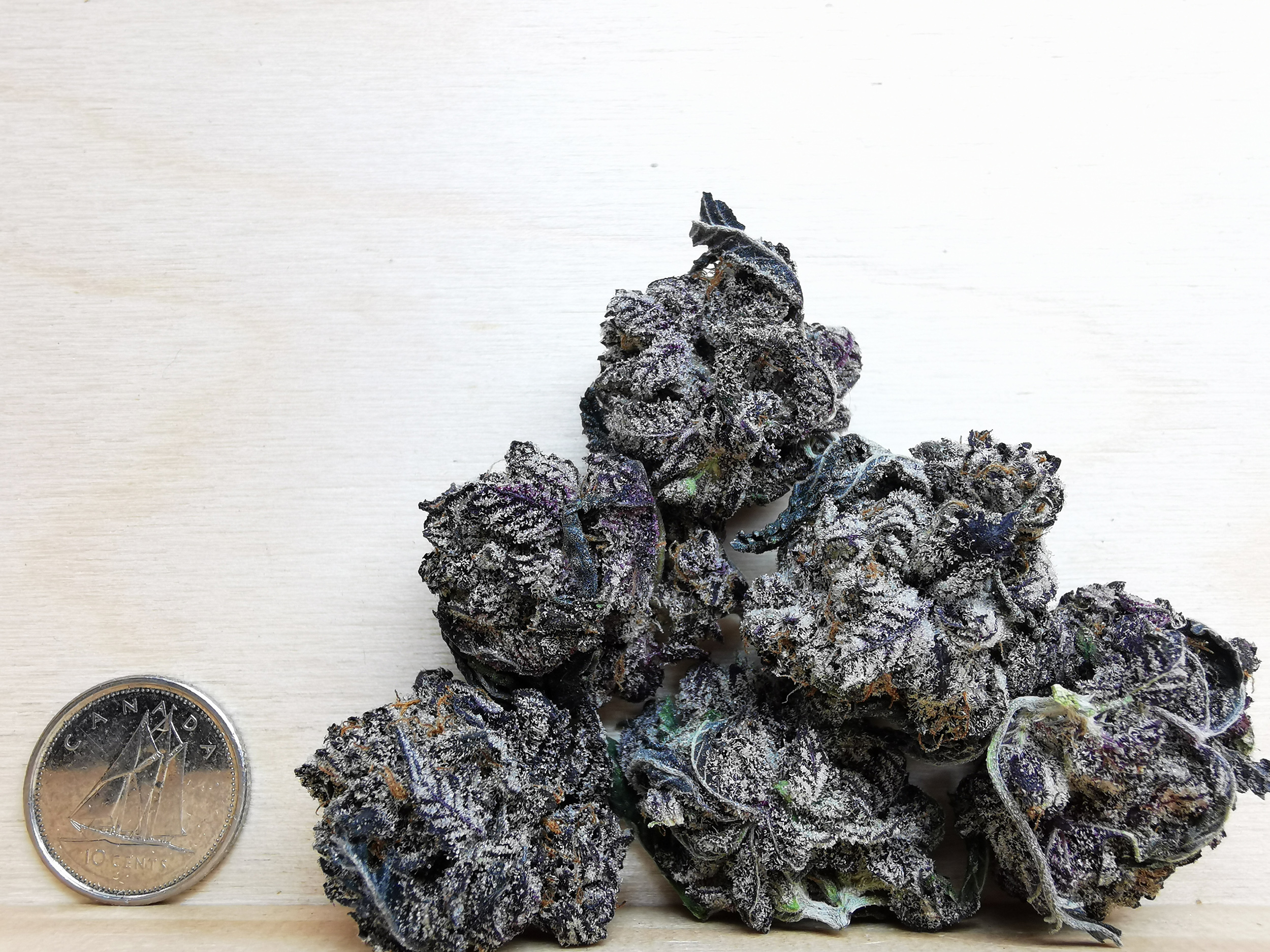 Black Cherry Truffle AAAA+ - Image 2