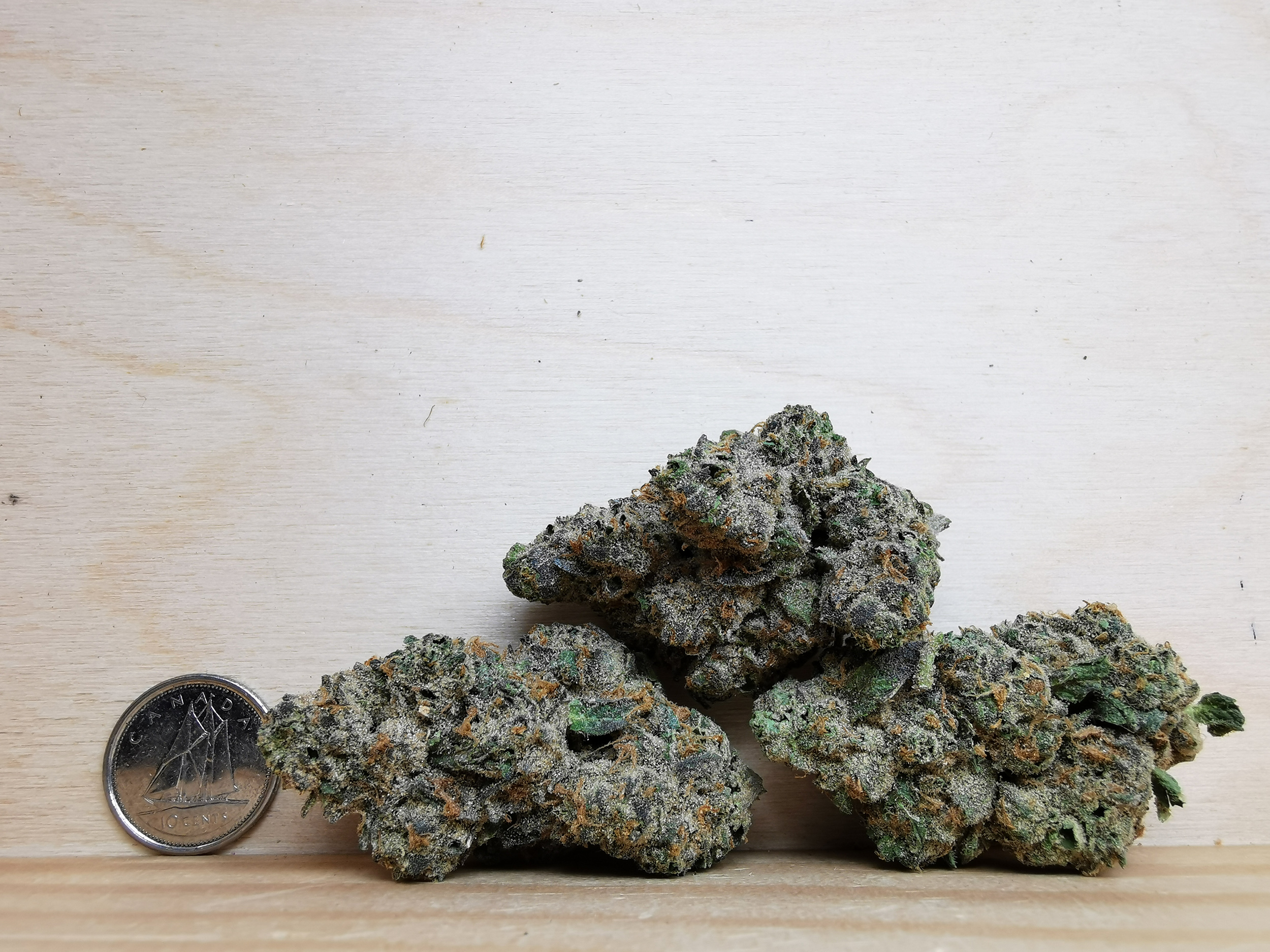 AAAA Blueberry Cookies - Image 2