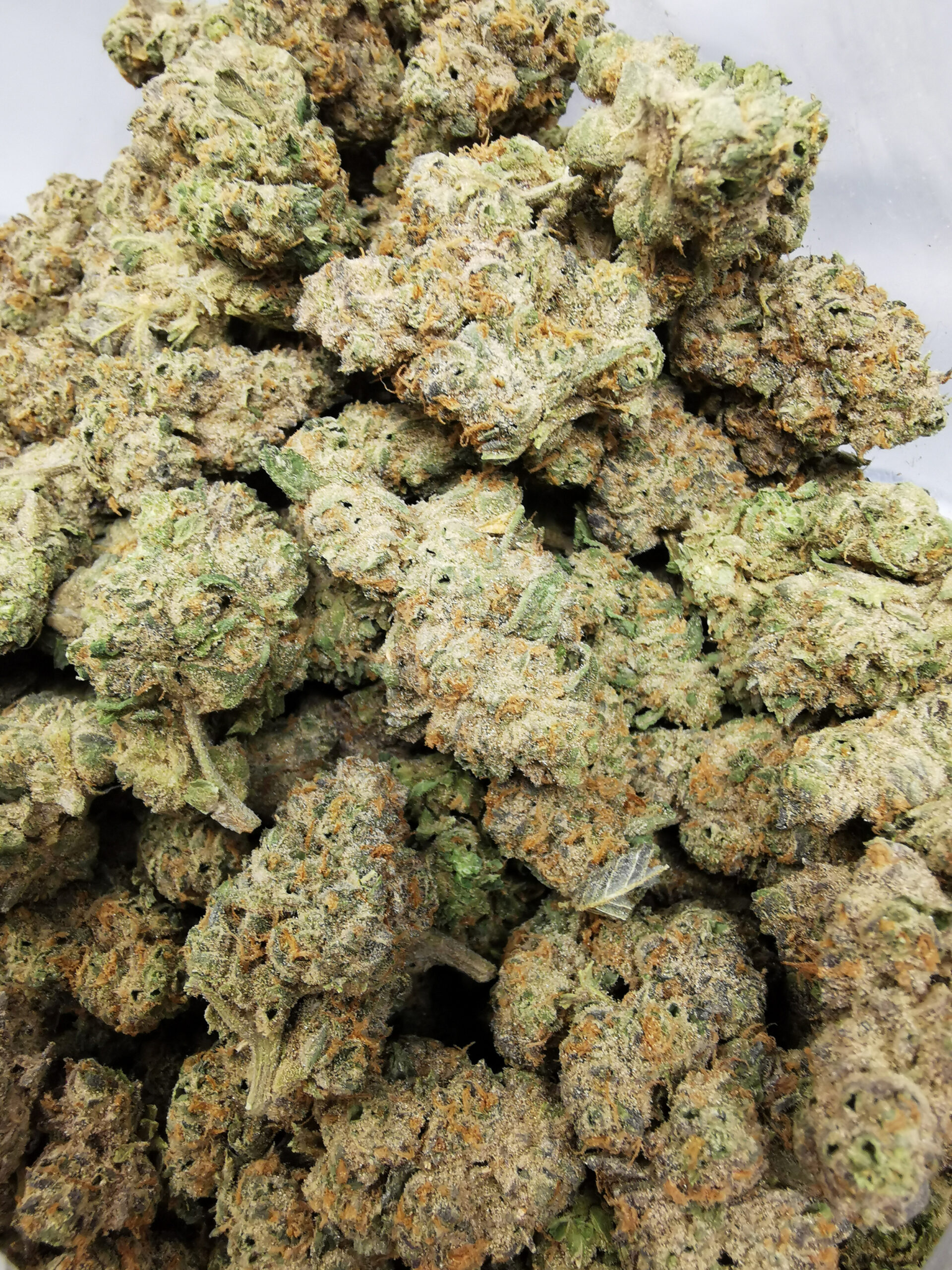 AAAA Blueberry Cookies - Image 4