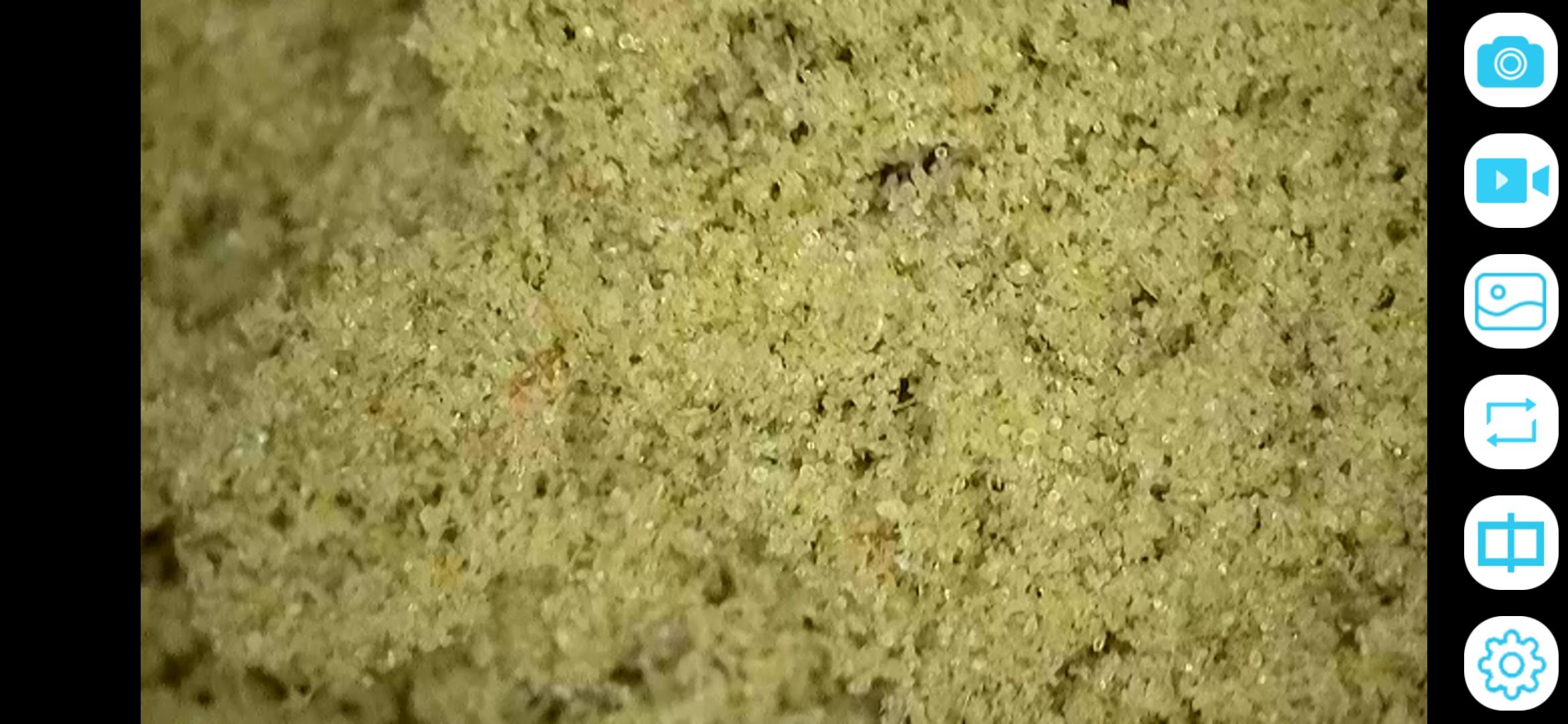 AAAA+ Static Hash – El Chapo – 3.5 Grams - Image 2
