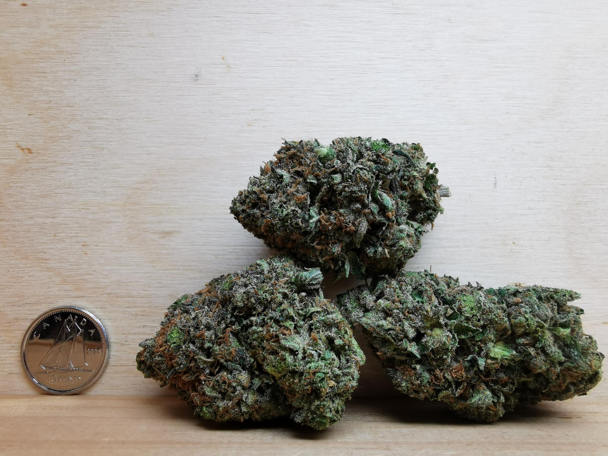 AAAA Death Star - Image 4