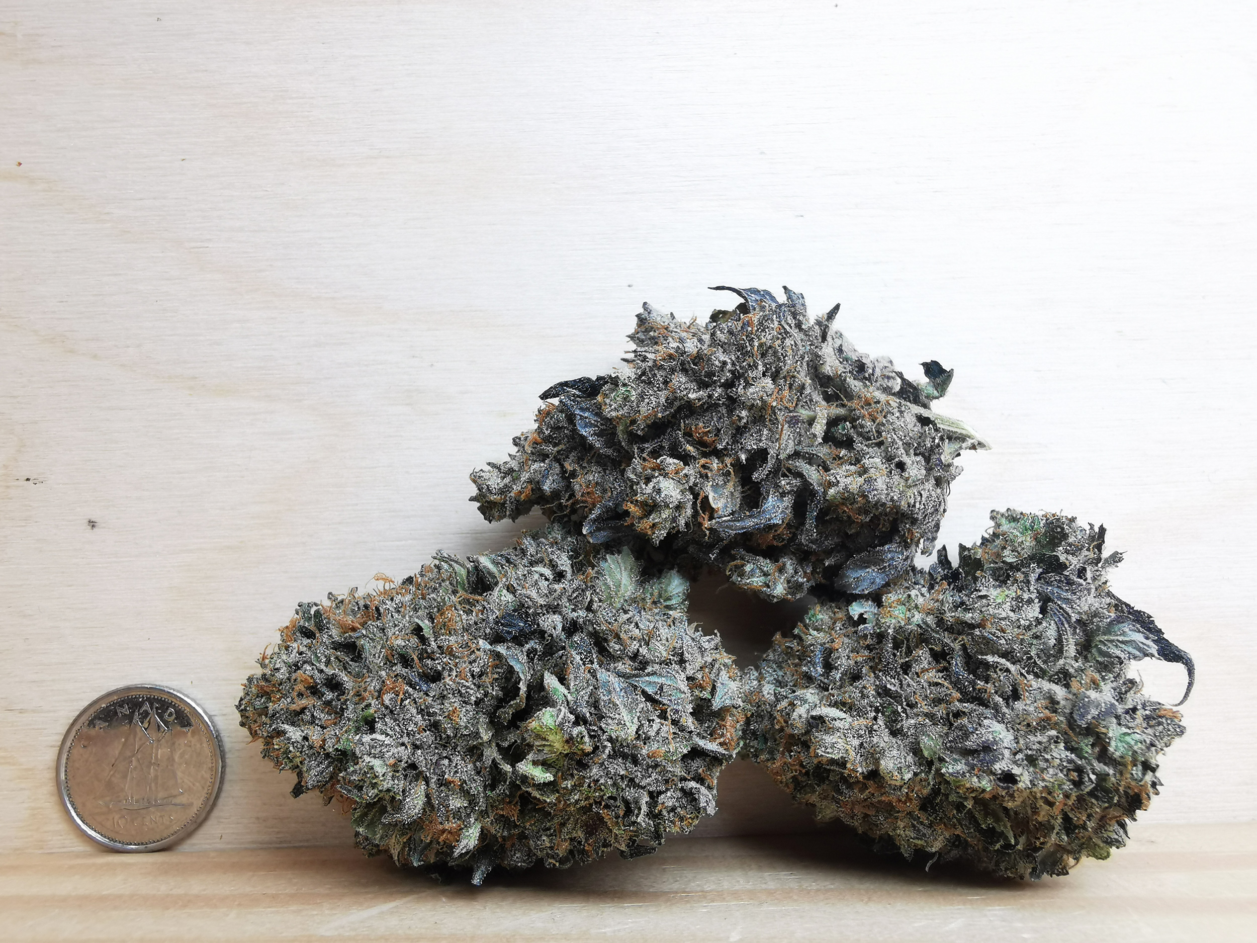 AAAA+ Black Bubba - Image 2