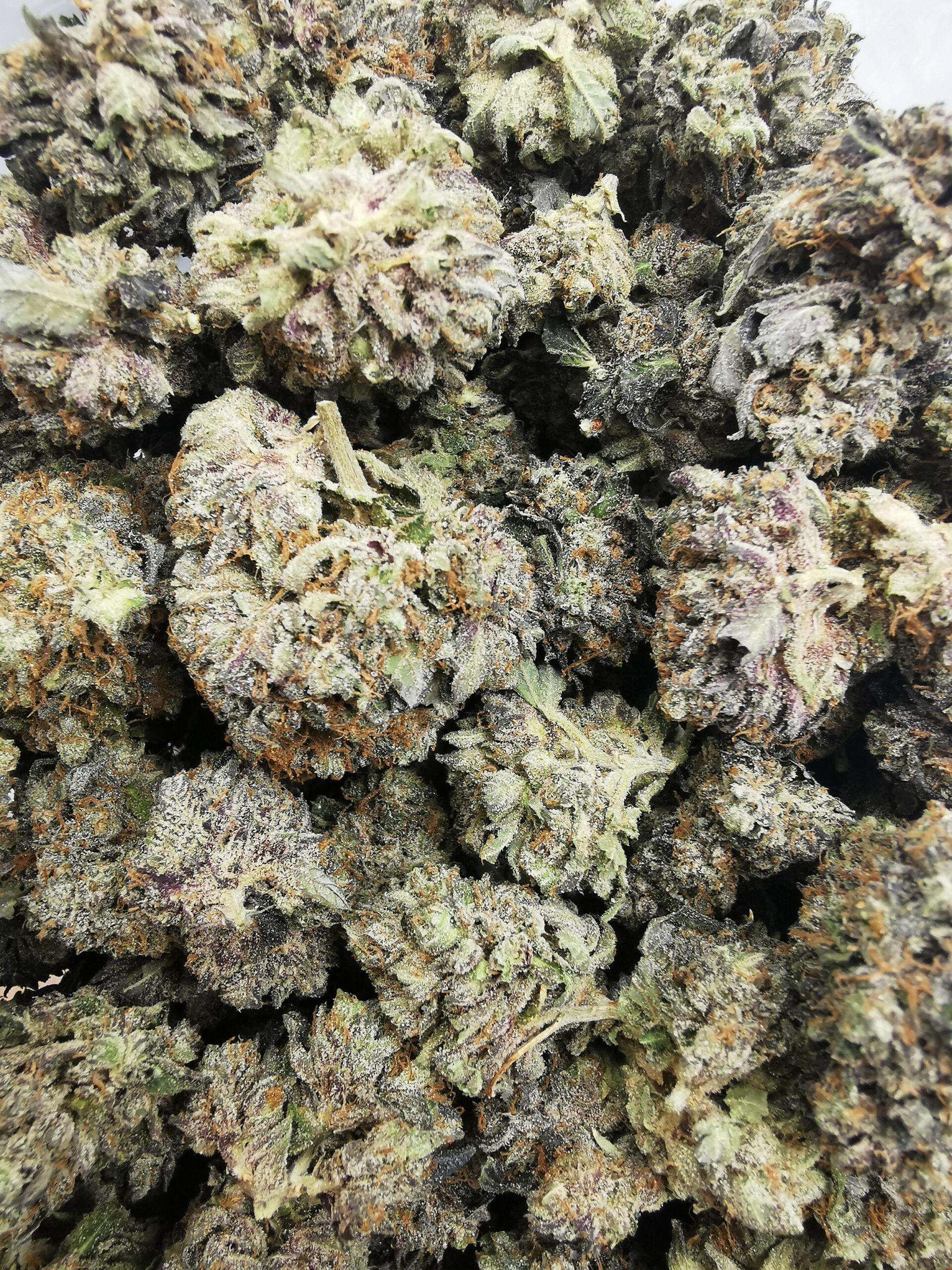 AAAA+ Black Bubba - Image 5