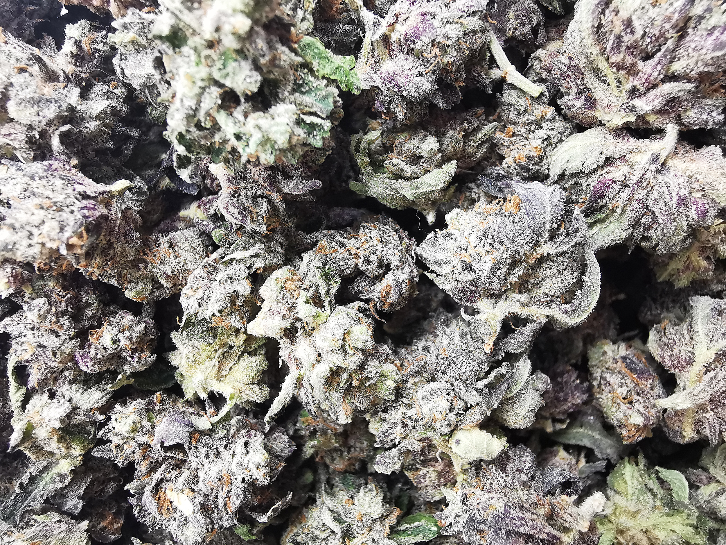 AAAA Pink Death Smalls - Image 4