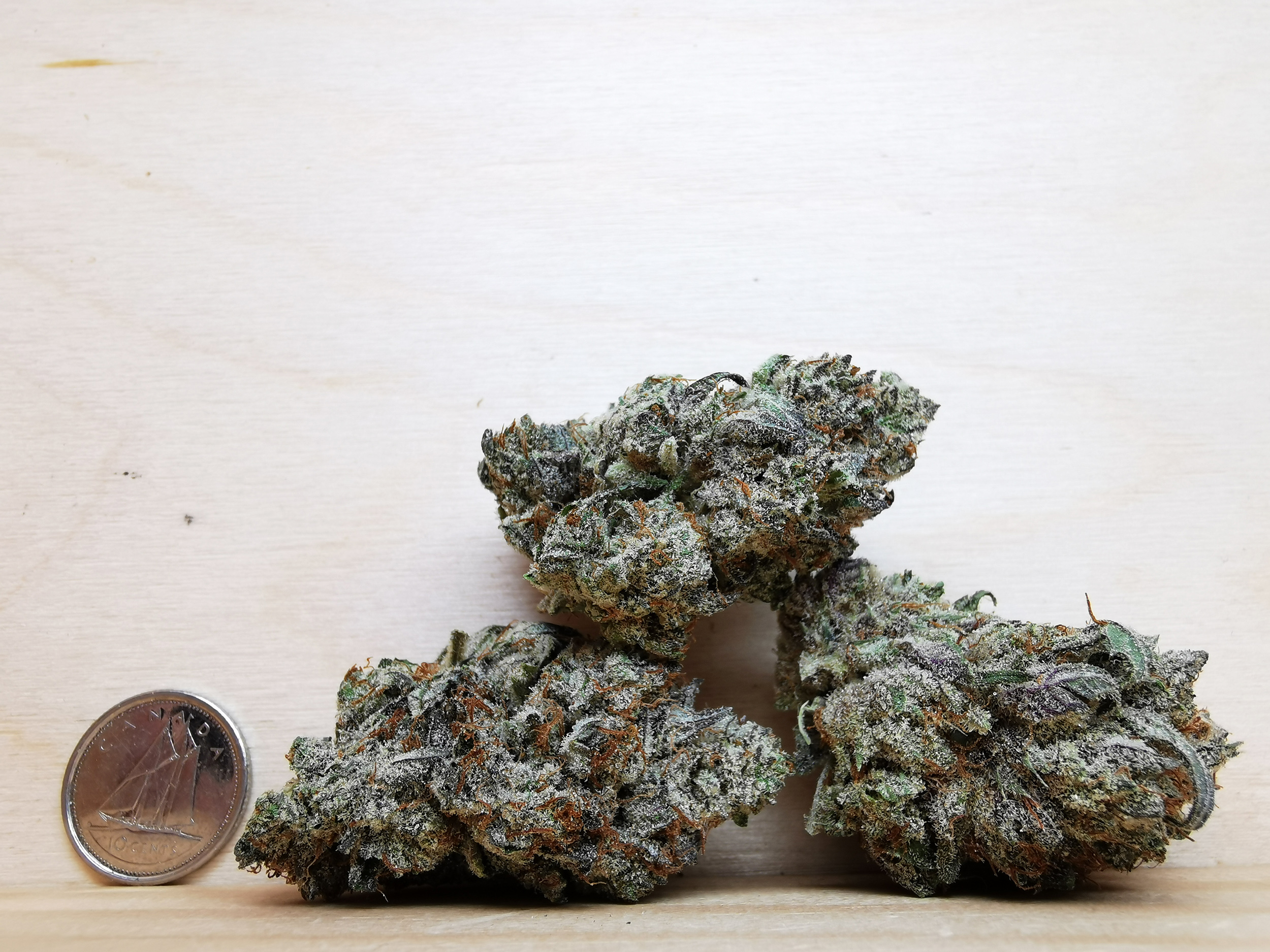 AAAA Purple Kush - Image 2