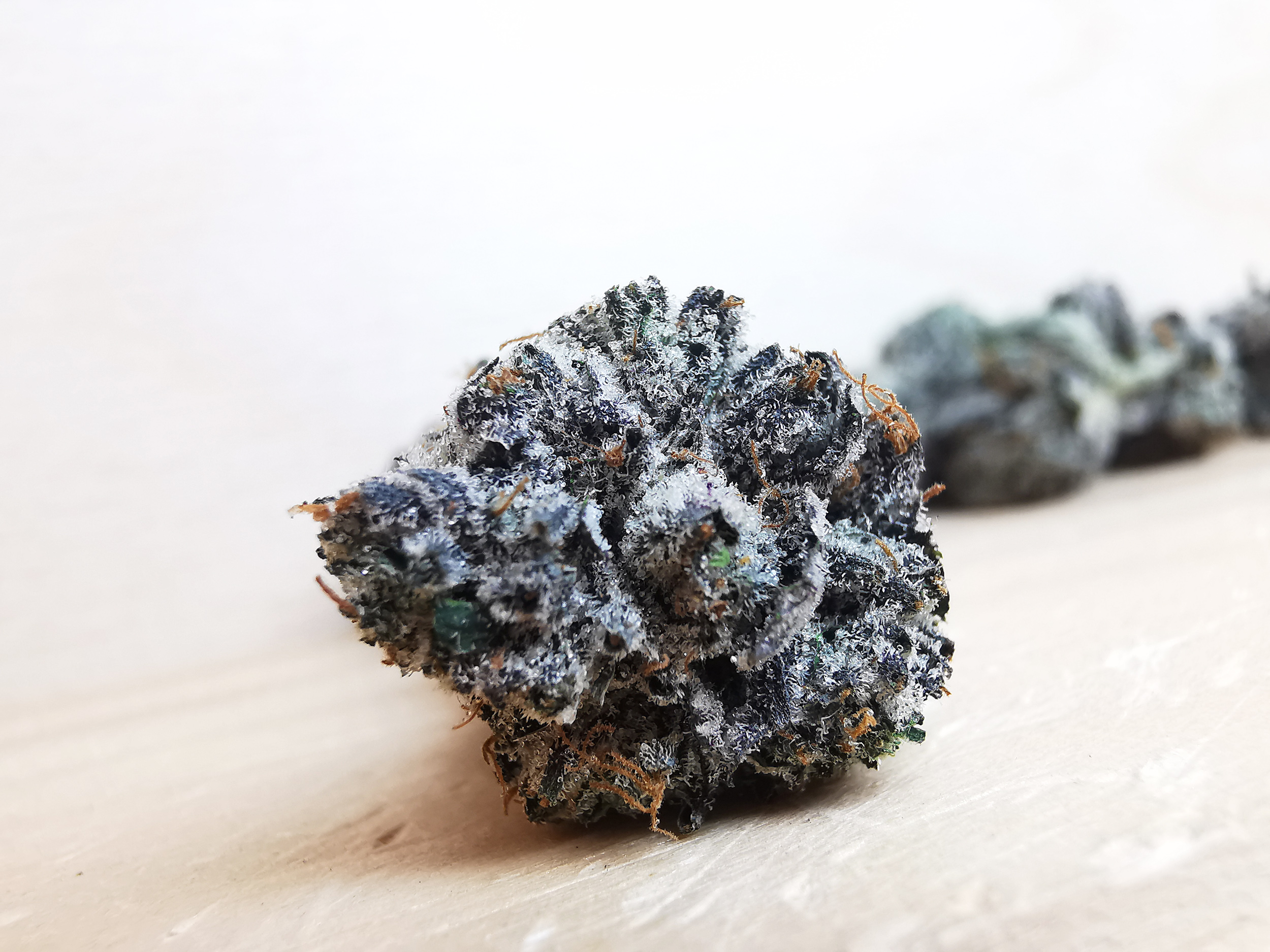 AAAA++ El Chapo Smalls - Image 2