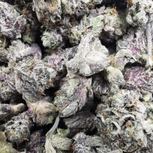 AAAA++ El Chapo Smalls