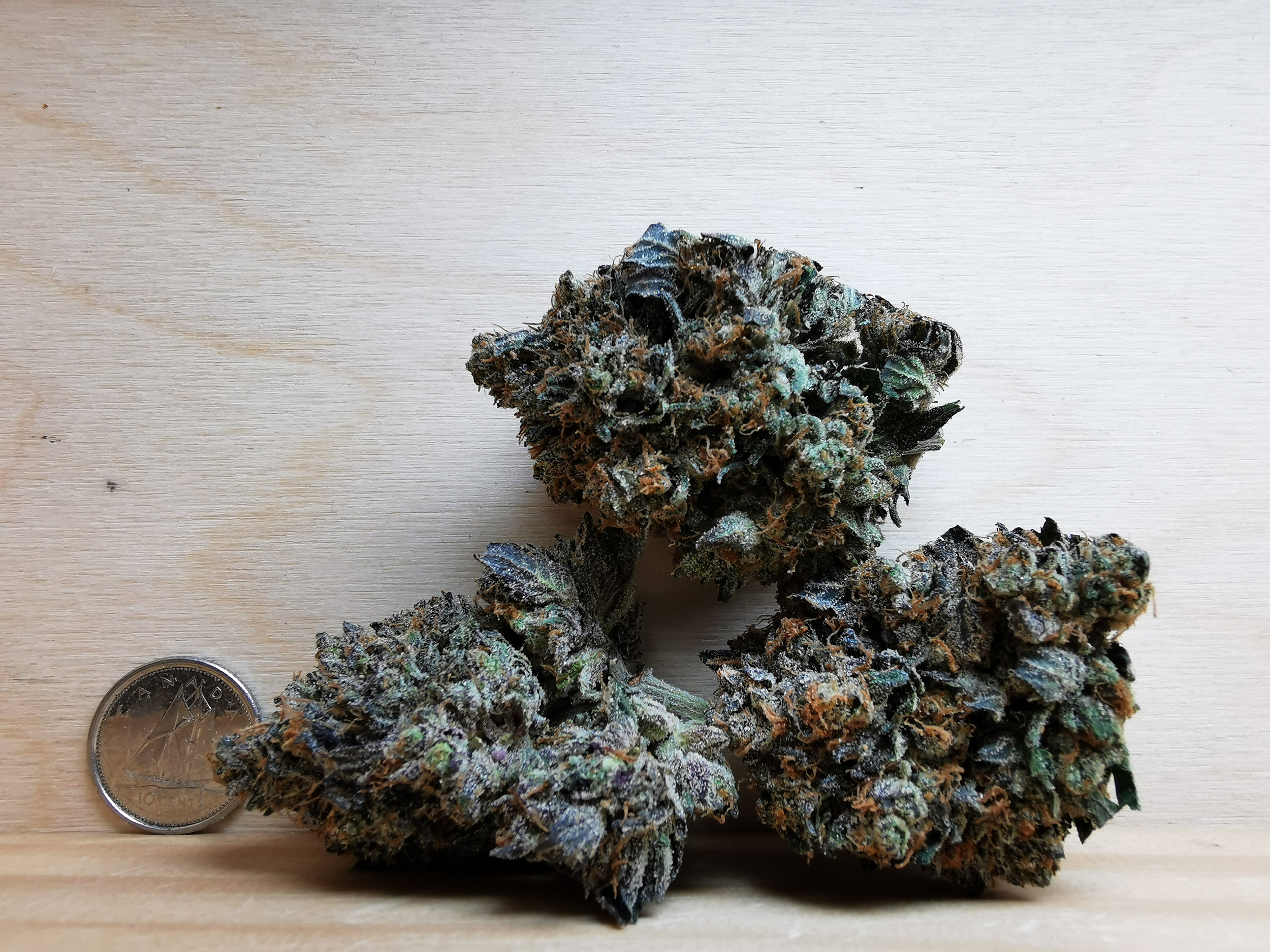 AAAA+ Tuna Kush - Image 2