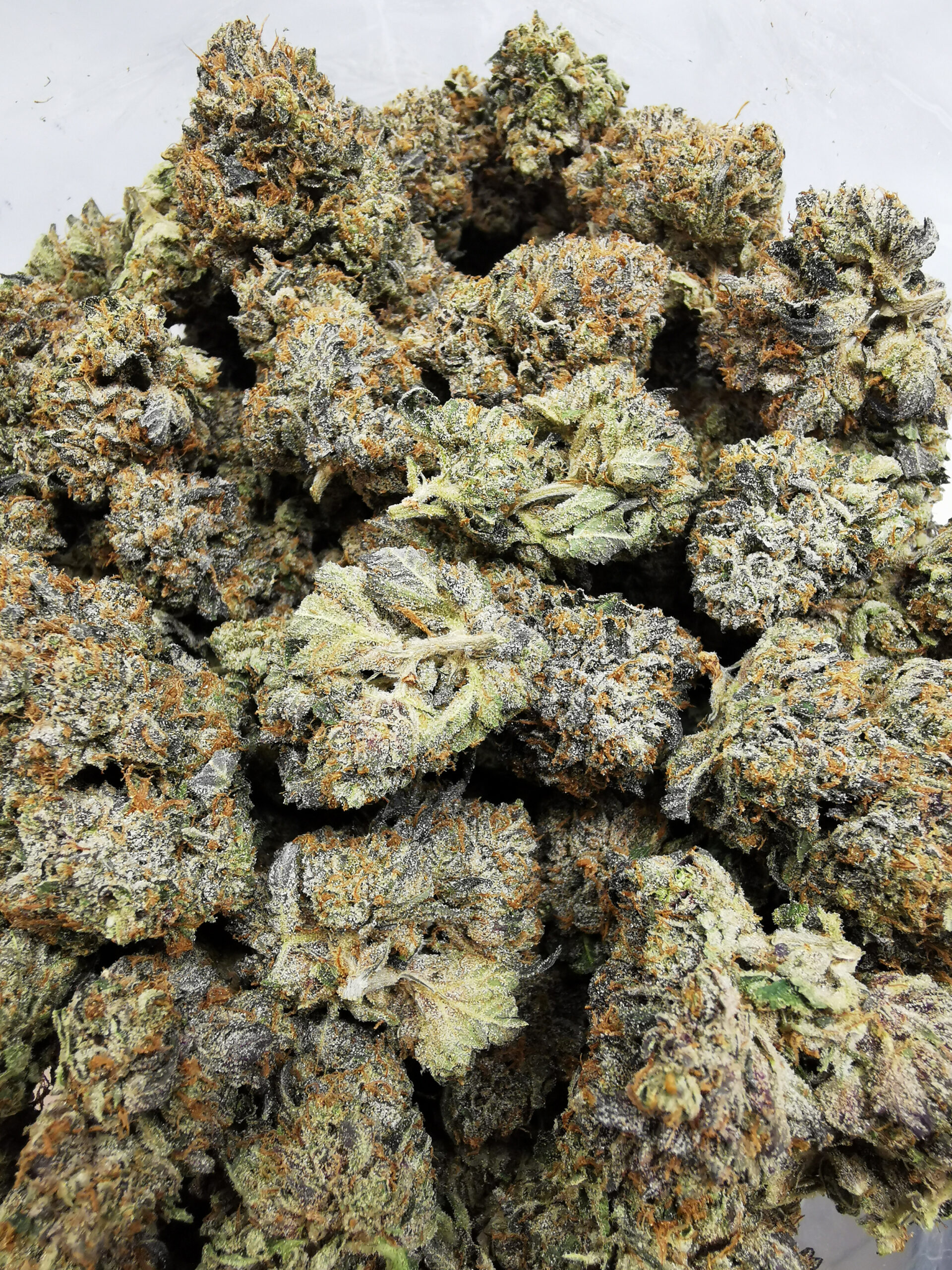 AAAA+ Tuna Kush - Image 5