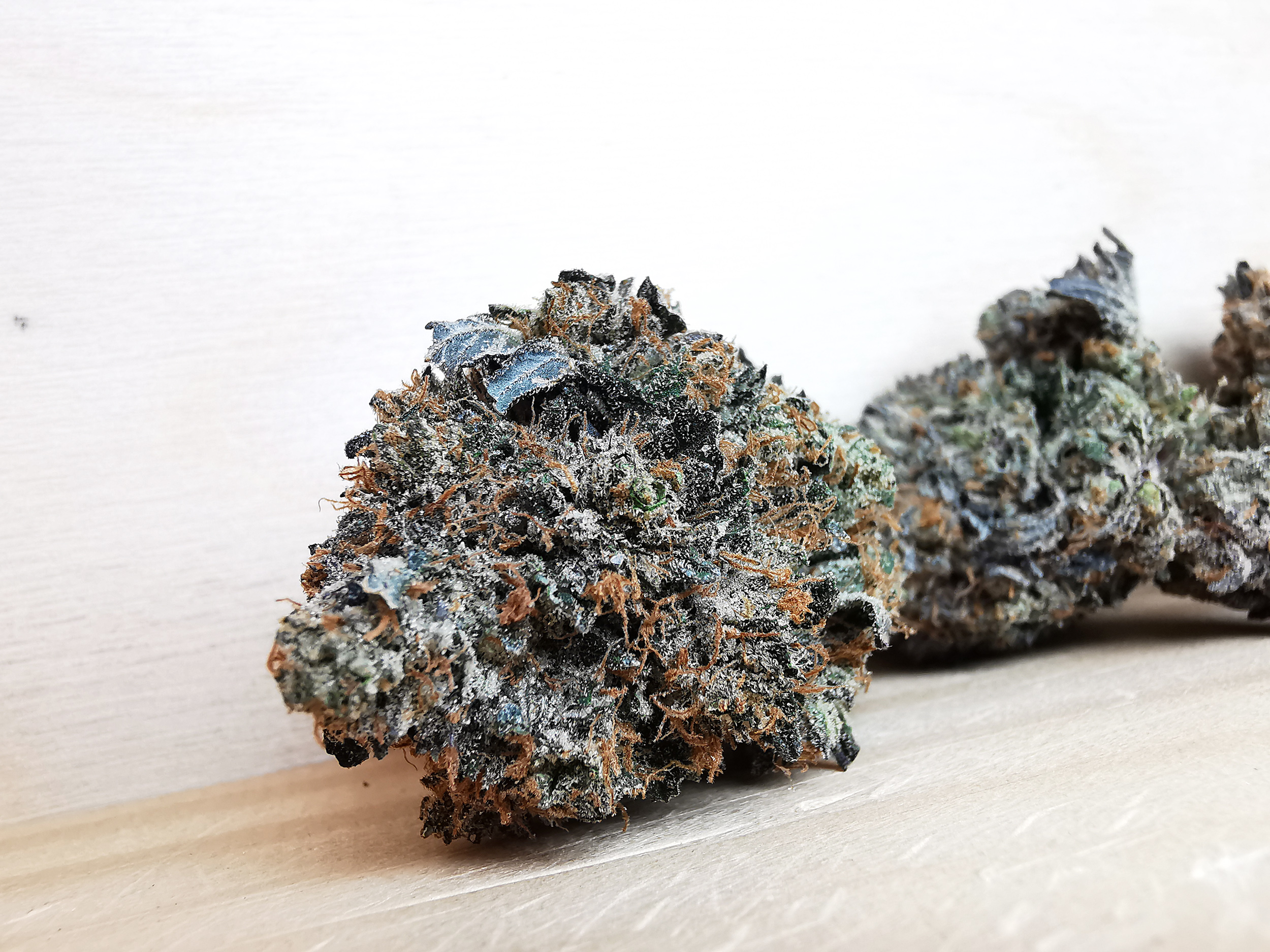 AAAA+ Tuna Kush - Image 3