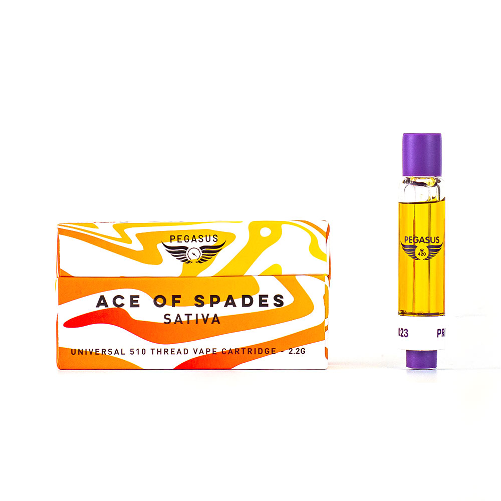 PEGASUS 510 Infinity Cartridge (2.2 ML) - Image 2