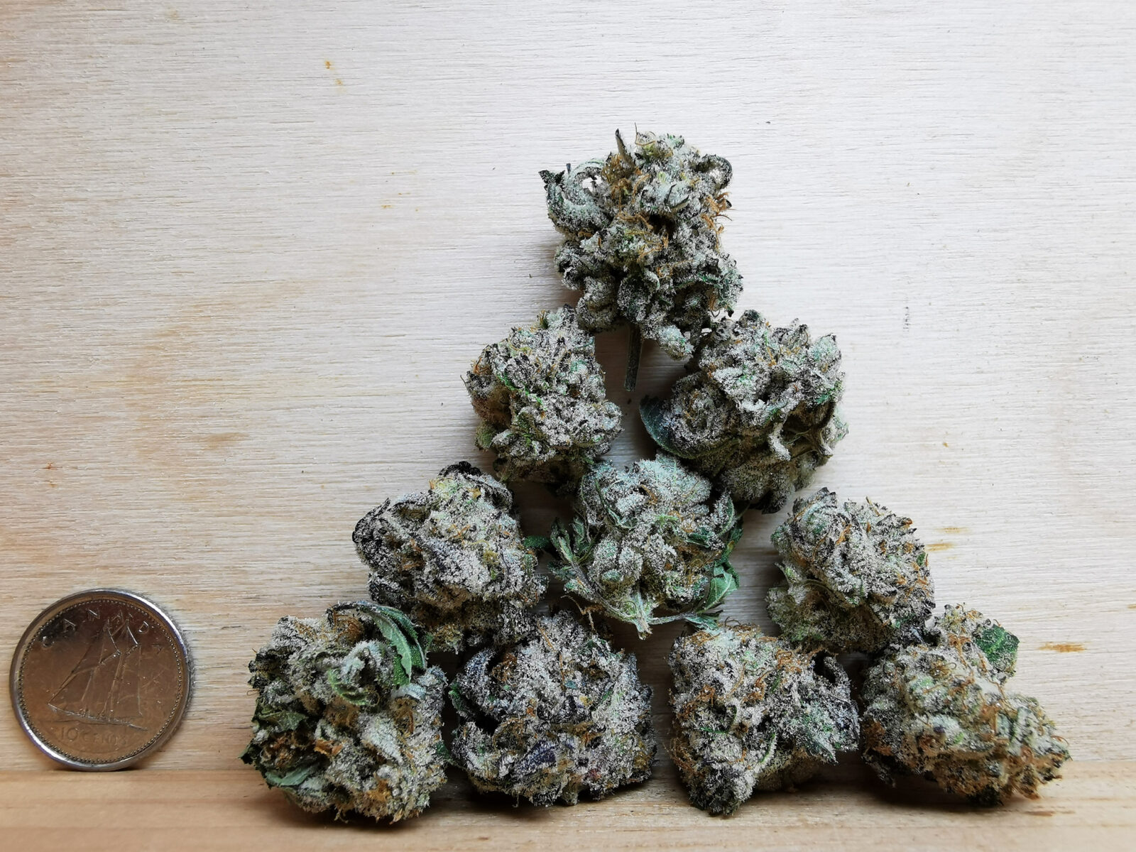 AAAA White Widow Smalls - Image 2