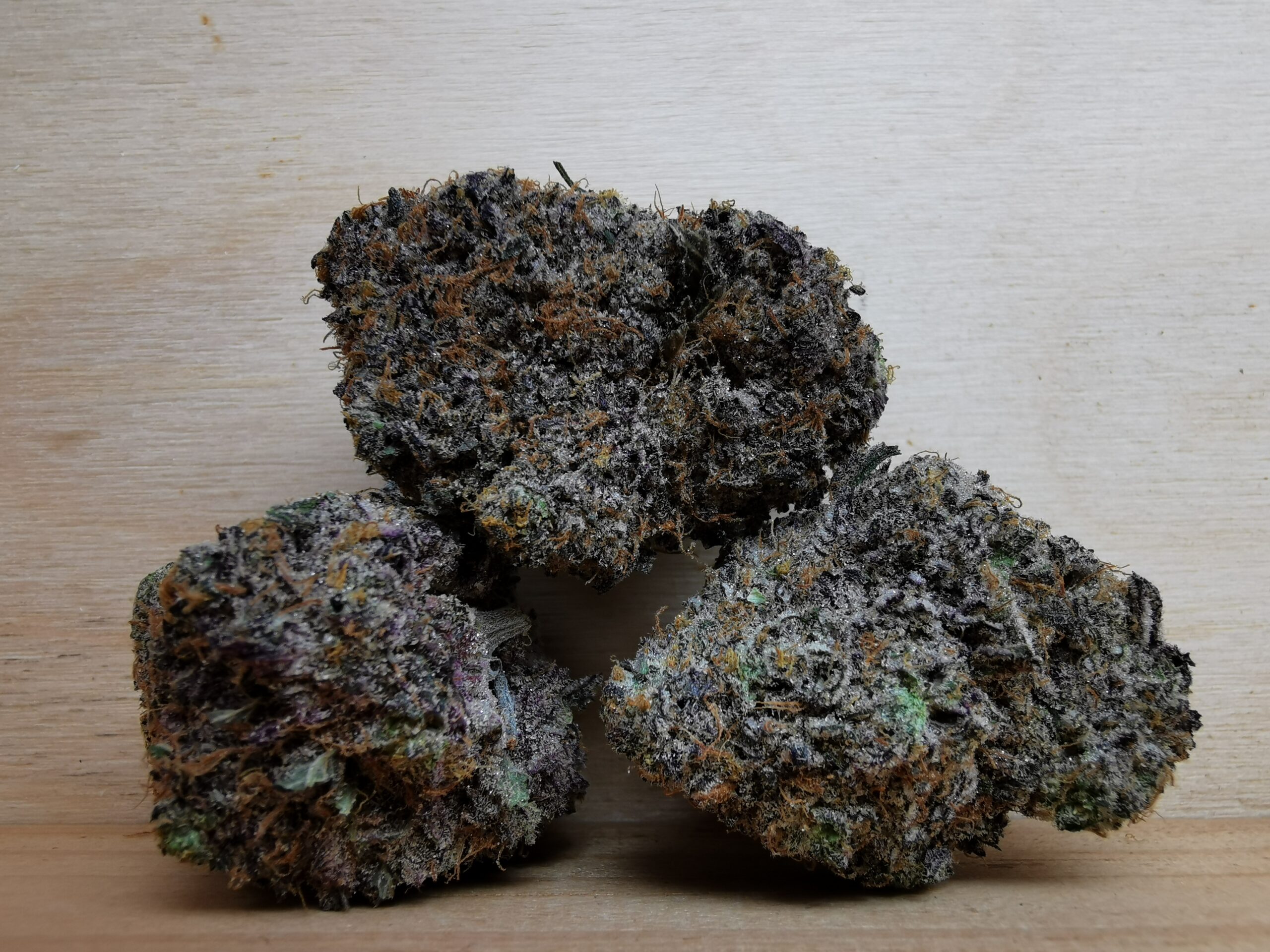 AAAA+ Blue Sunset Sherbet
