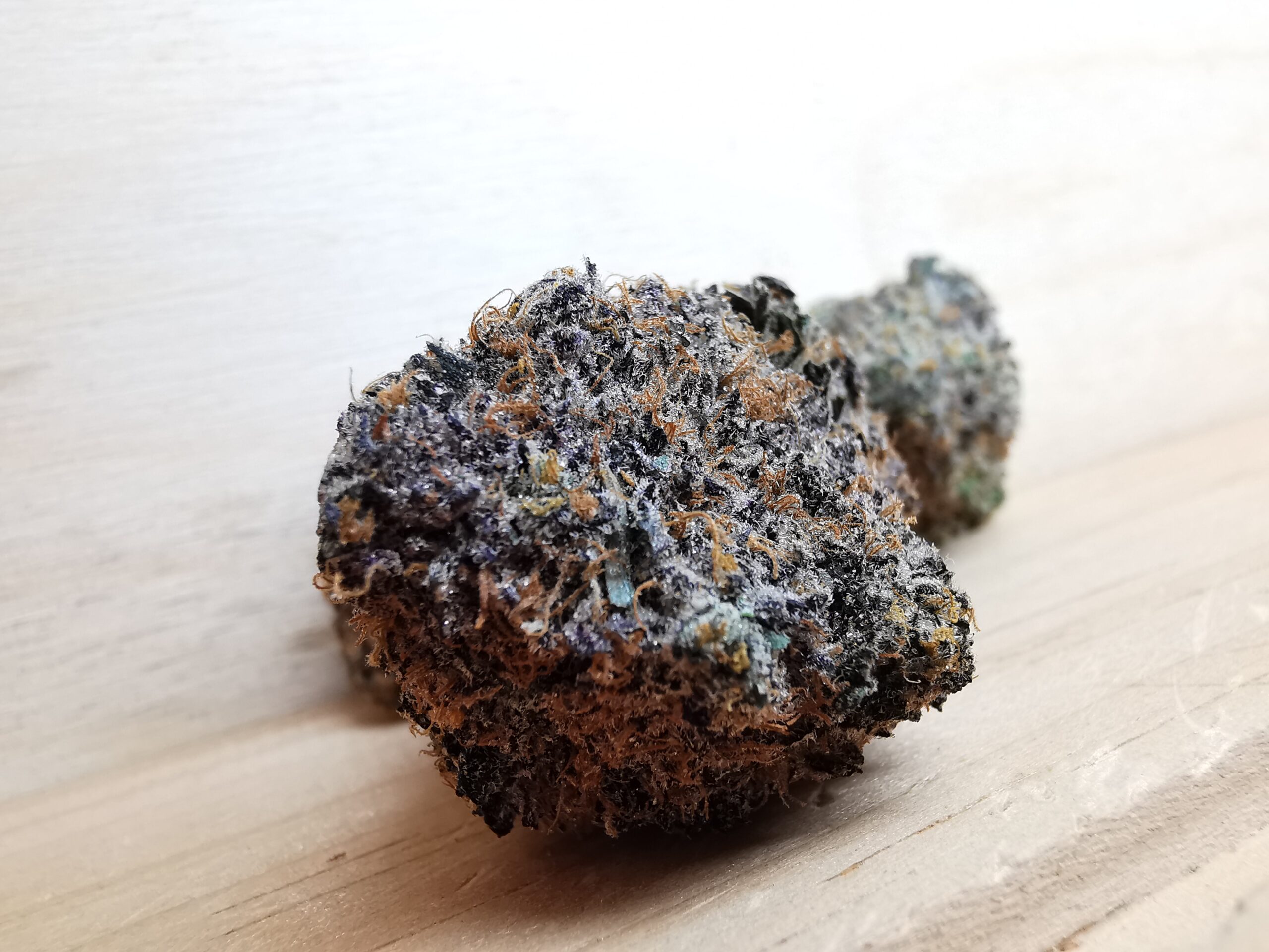 AAAA+ Blue Sunset Sherbet - Image 3