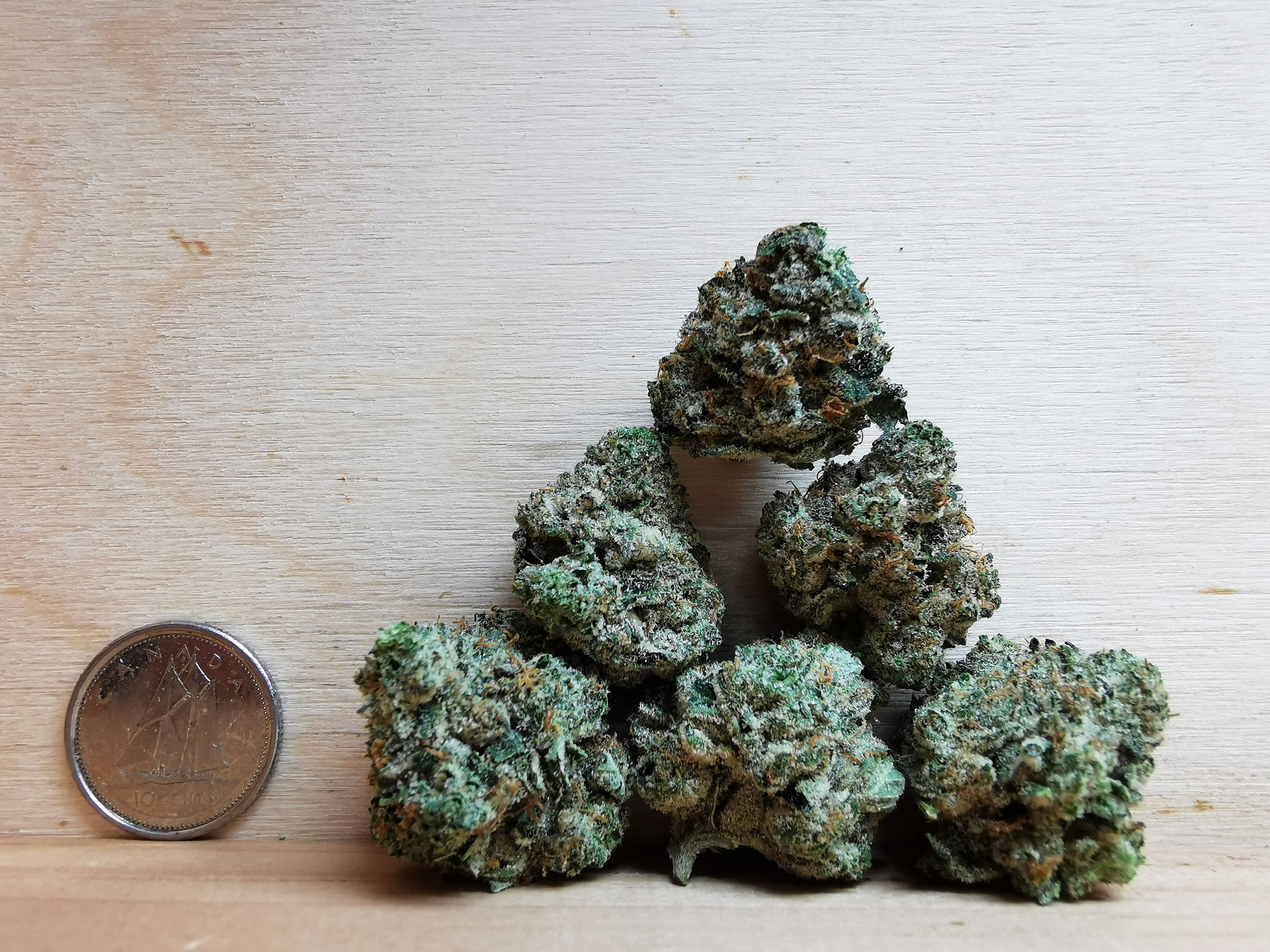 AAAA OG Kush Med. - Image 2