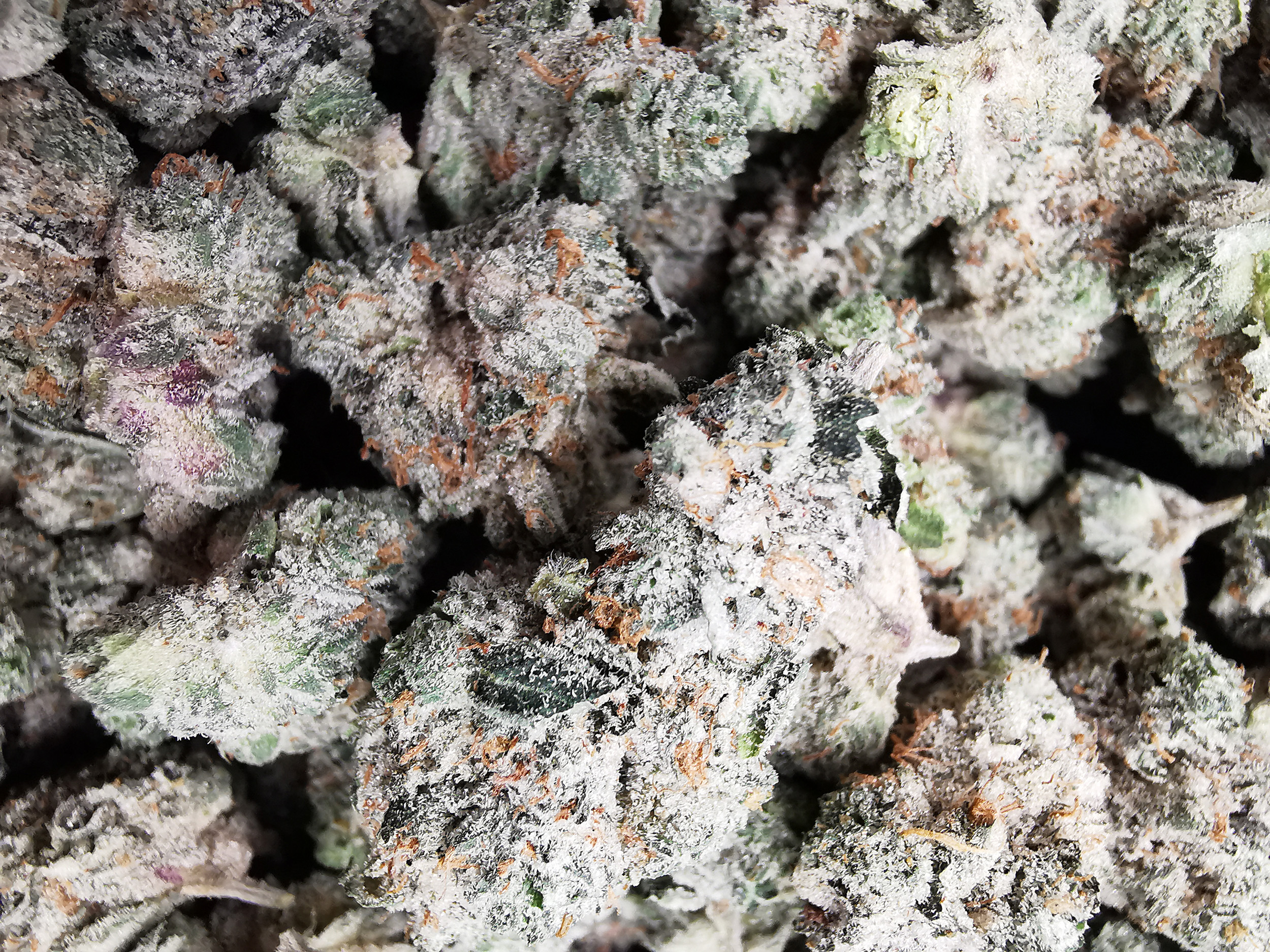 AAAA OG Kush Med. - Image 4