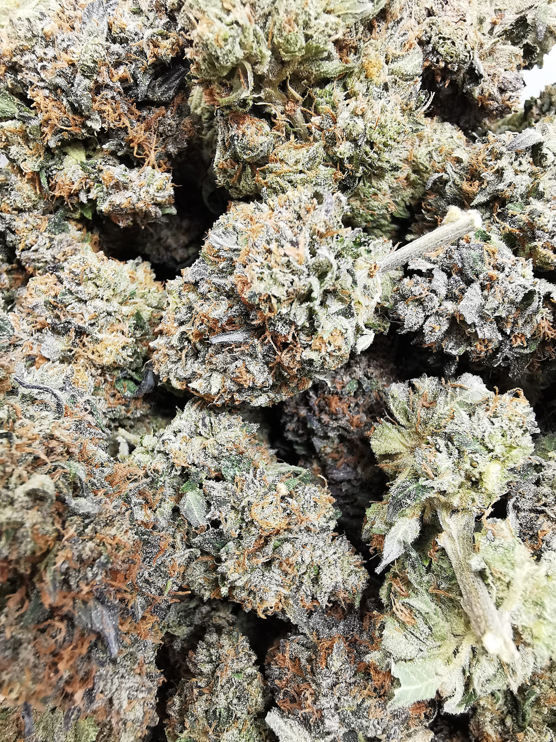 AAAA Rockstar Tuna Kush - Image 5