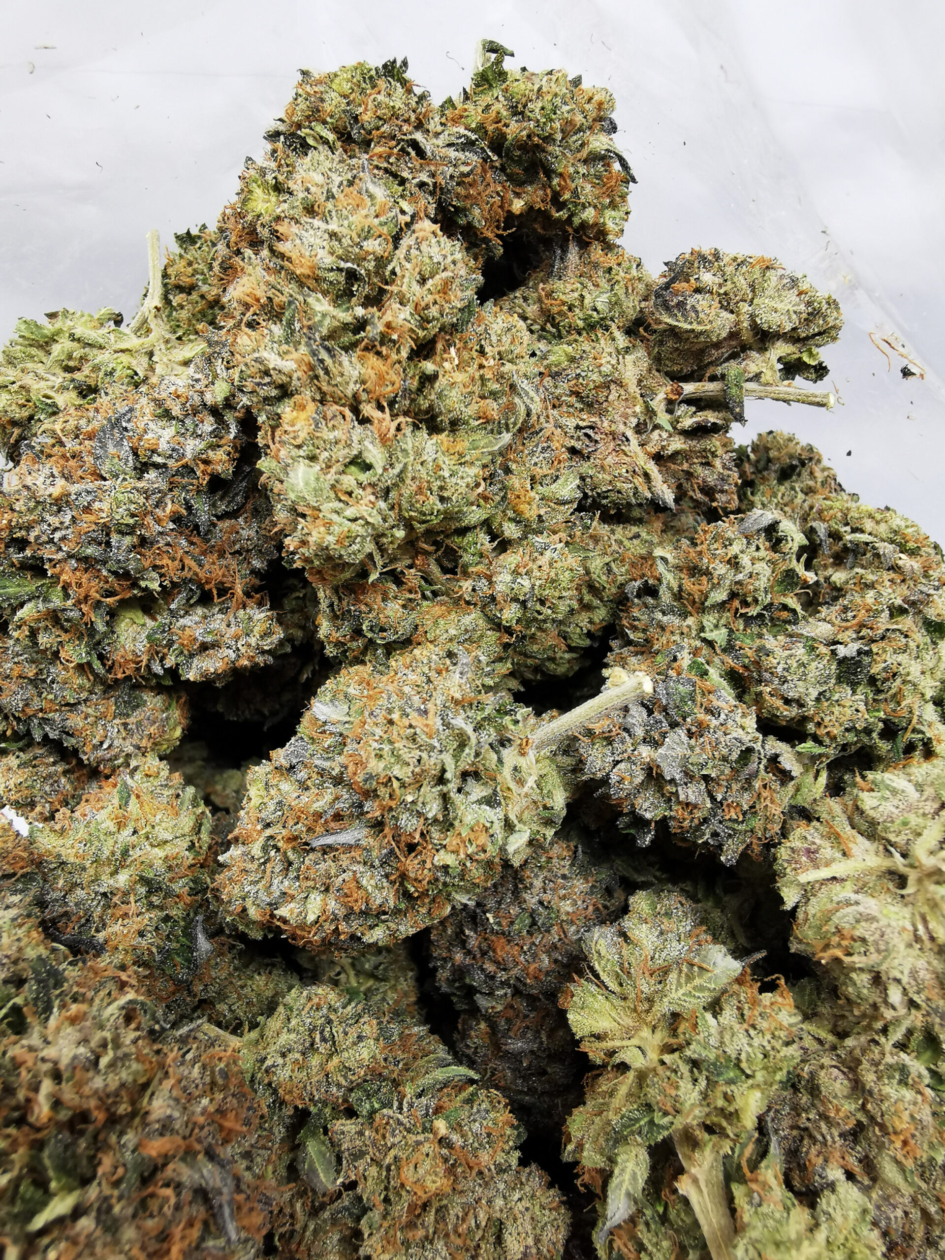 AAAA Rockstar Tuna Kush - Image 4