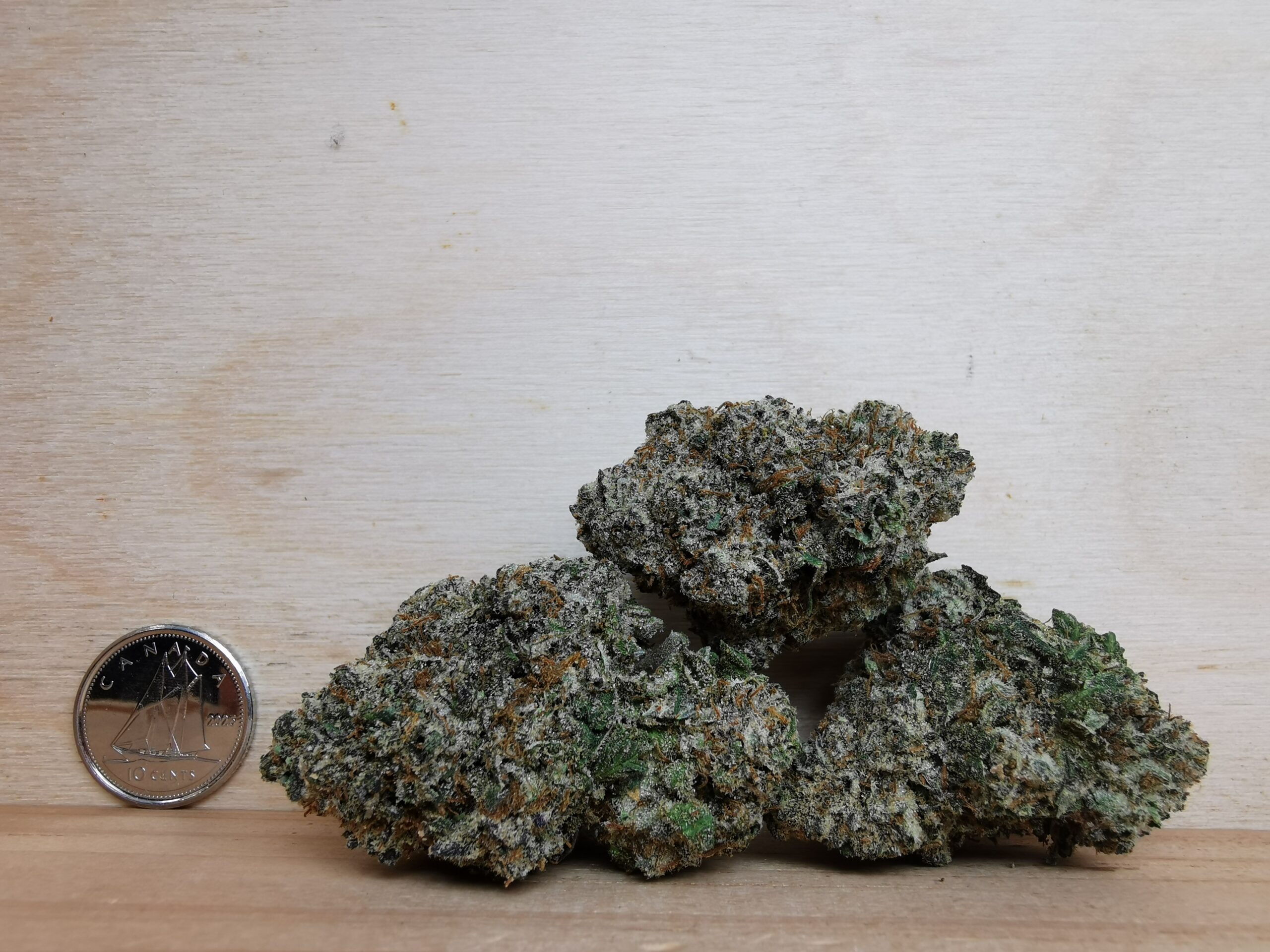 AAAA Black Magic Kush - Image 2