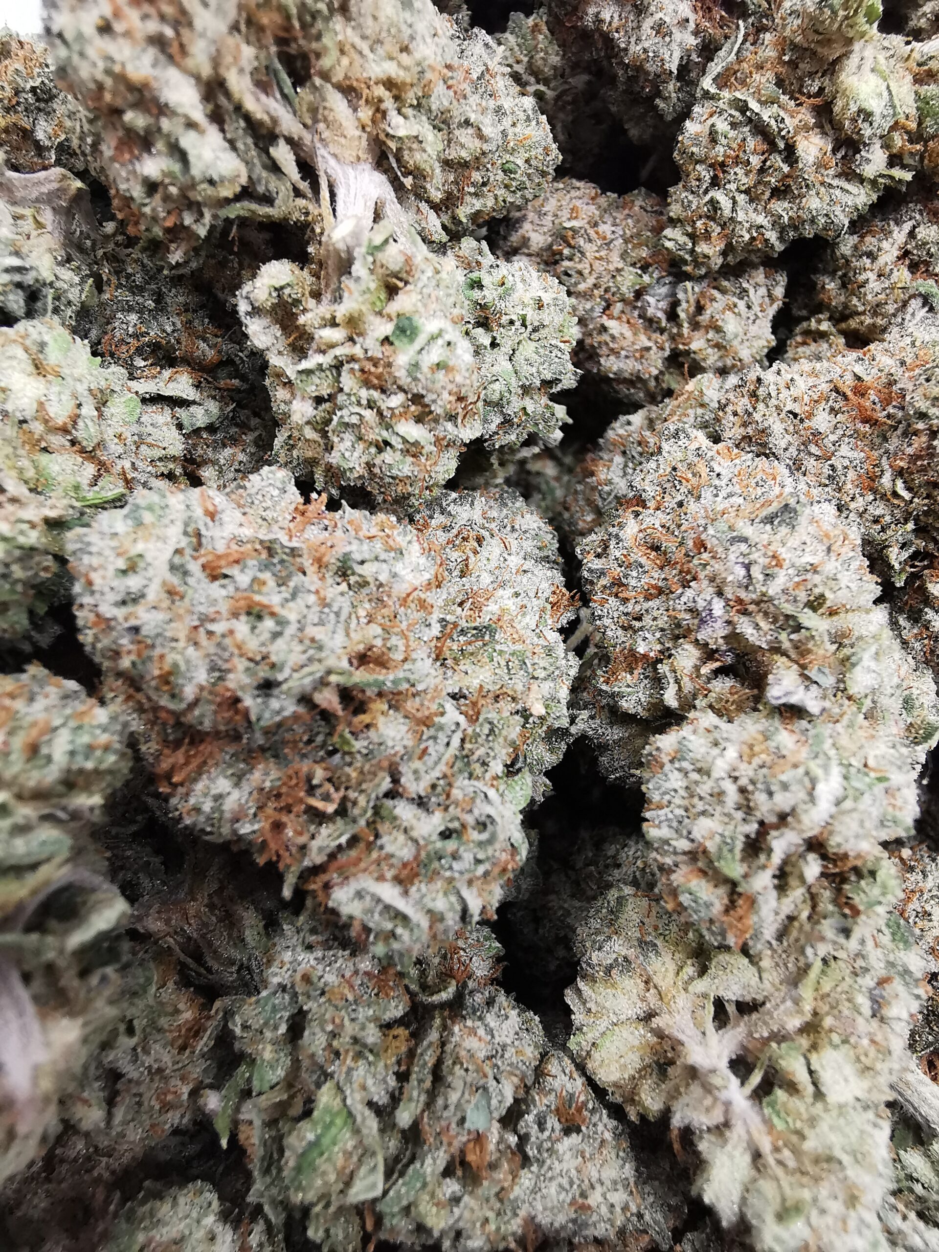 AAAA Black Magic Kush - Image 4