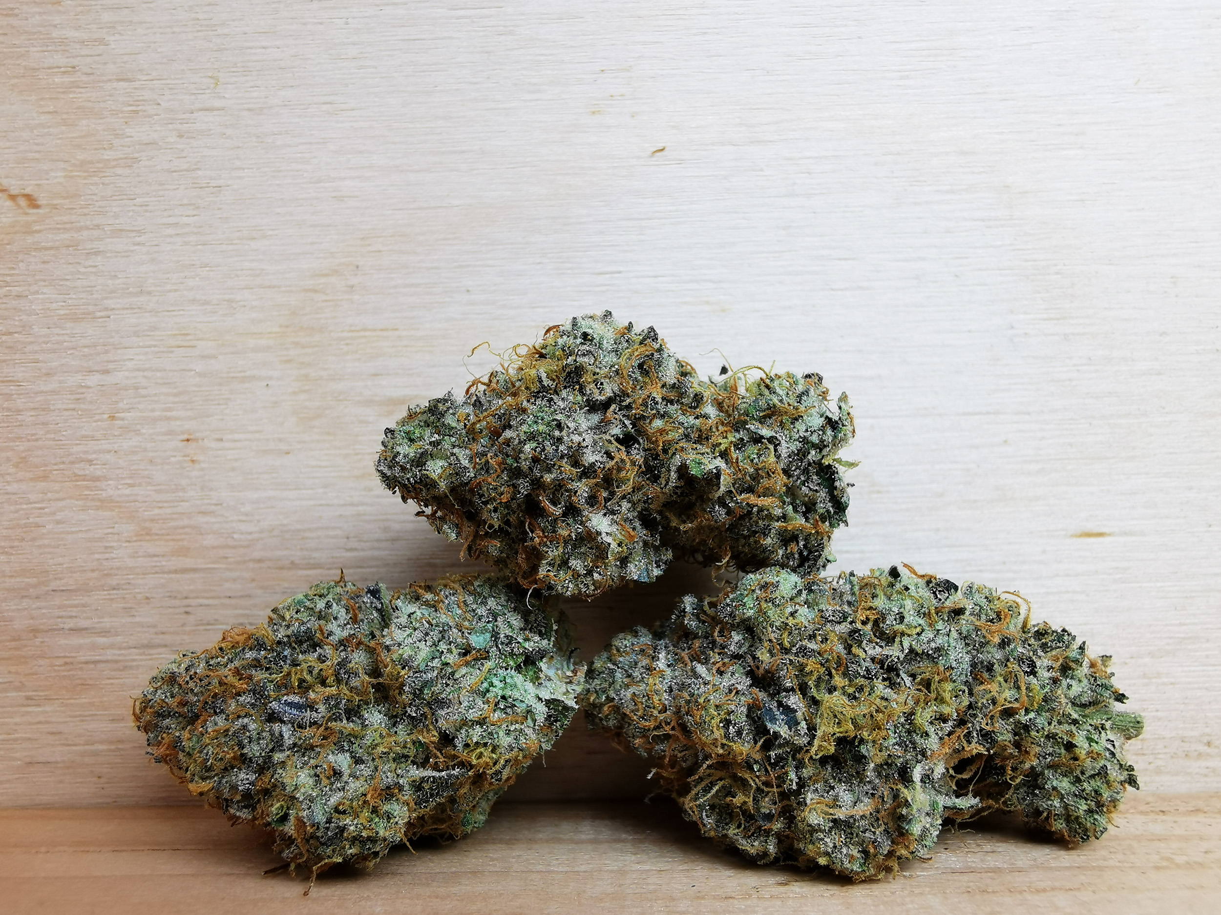 AAAA+ Girl Scout Cookies