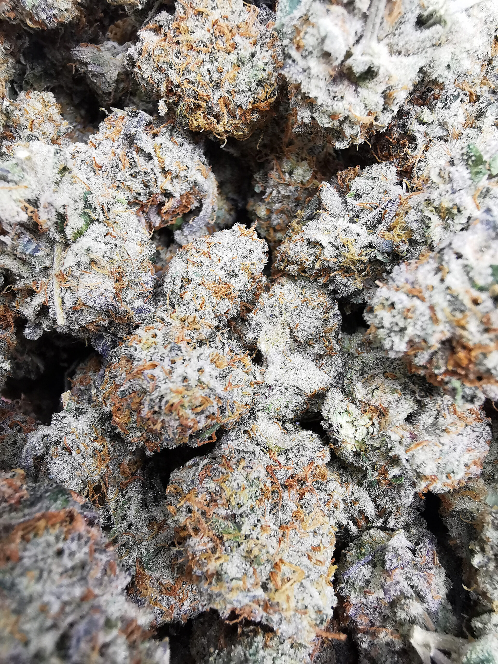 AAAA+ Girl Scout Cookies - Image 4