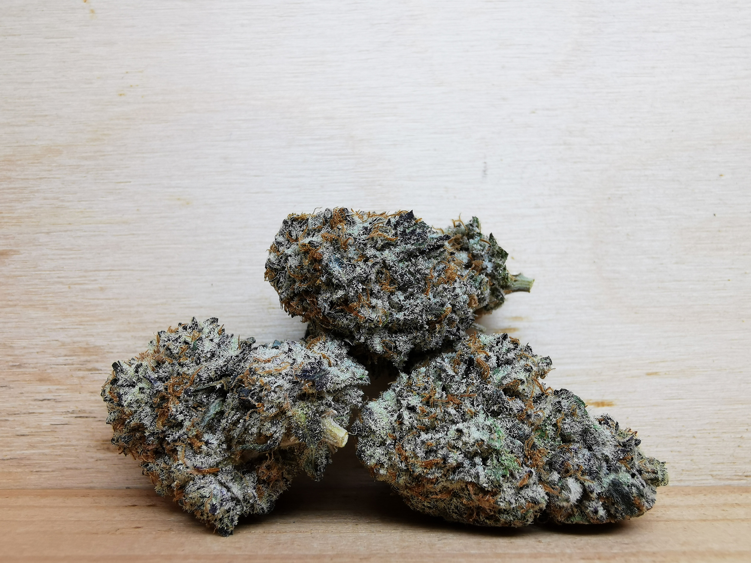 AAAA+ Gorilla Glue #4