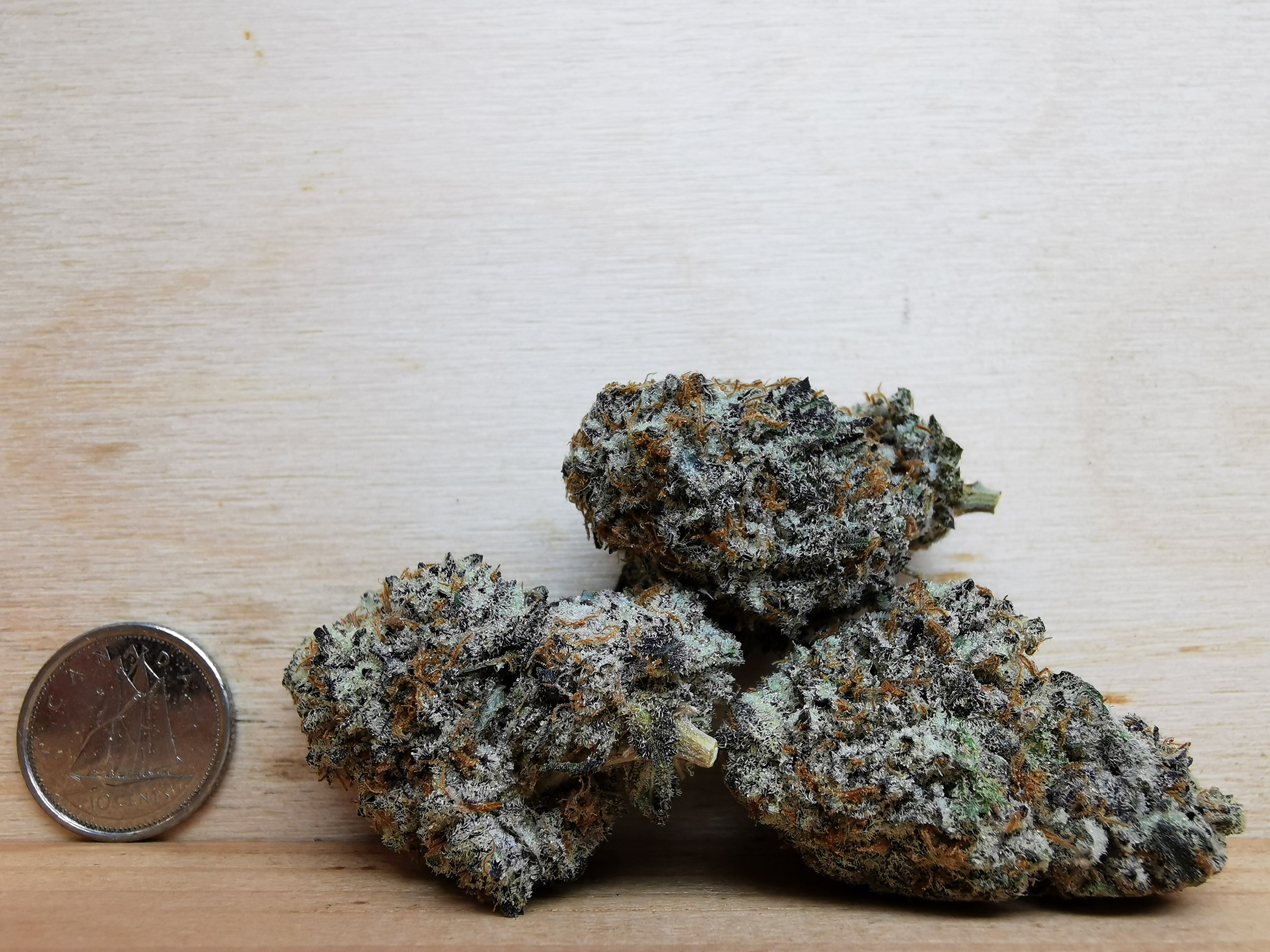 AAAA Rockstar Tuna Kush