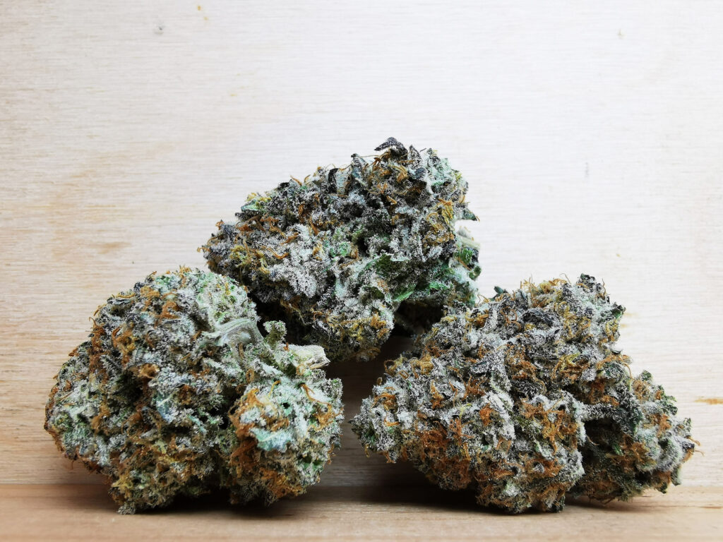 AAAA+ Jack Herer