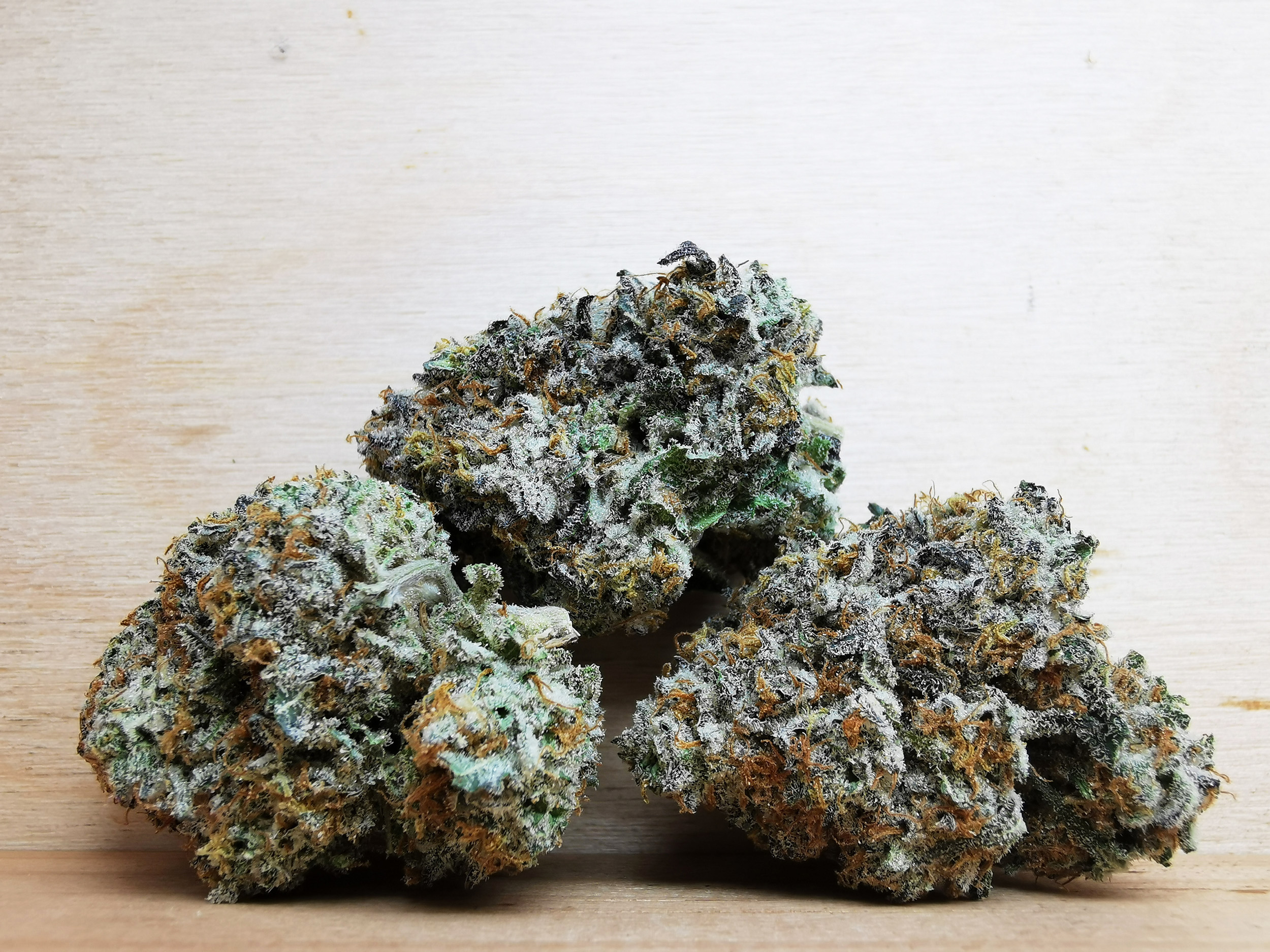 AAAA+ Jack Herer